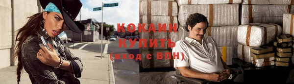 прущие грибы Белоозёрский