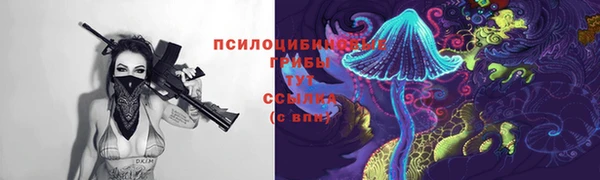 прущие грибы Белоозёрский