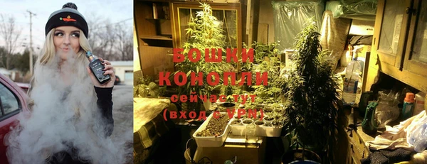 прущие грибы Белоозёрский