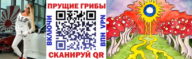 Псилоцибиновые грибы ЛСД как найти Кувшиново